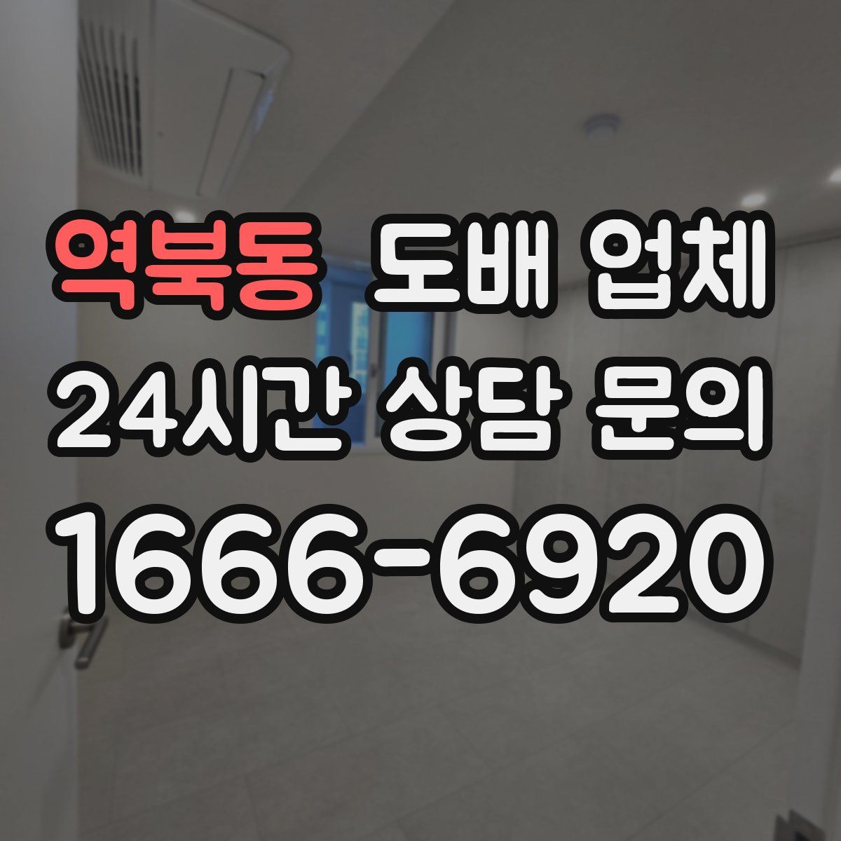 역북동 도배 업체