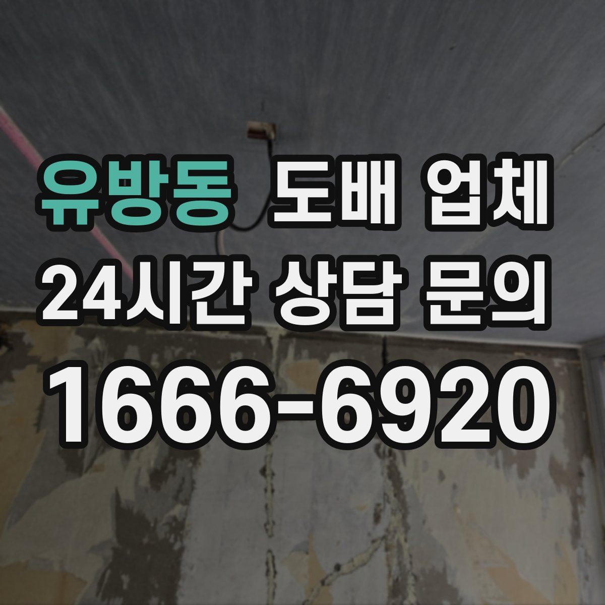 유방동 도배 업체