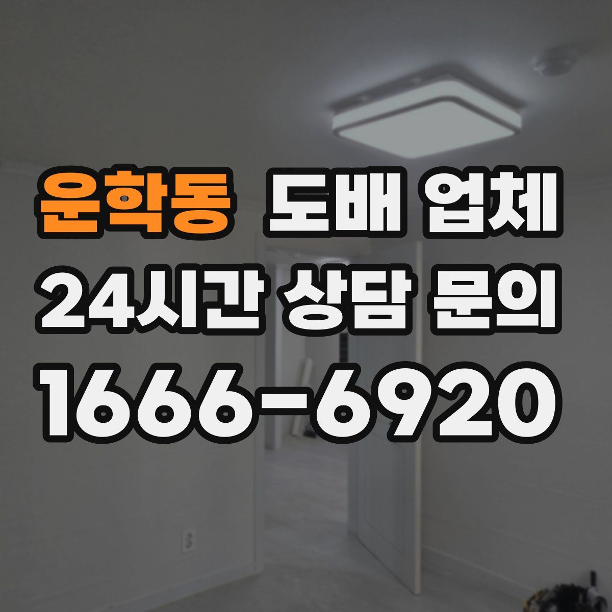 운학동 도배 업체
