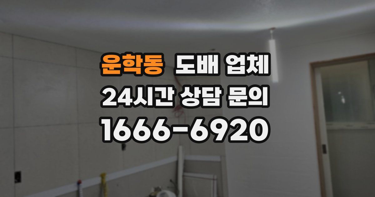 운학동 도배 업체