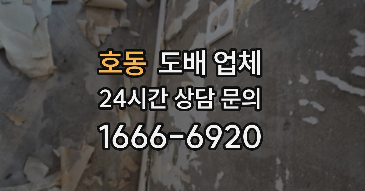 호동 도배 업체