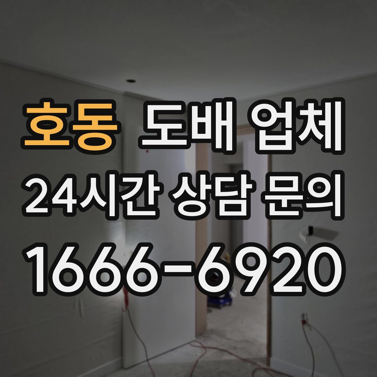 호동 도배 업체