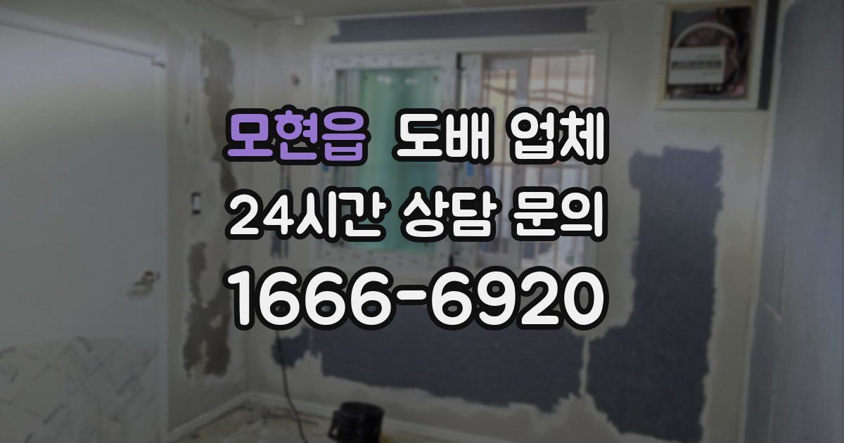 모현읍 도배 업체