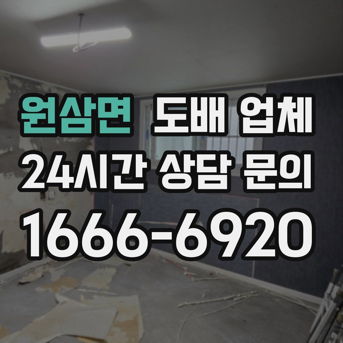 원삼면 도배 업체