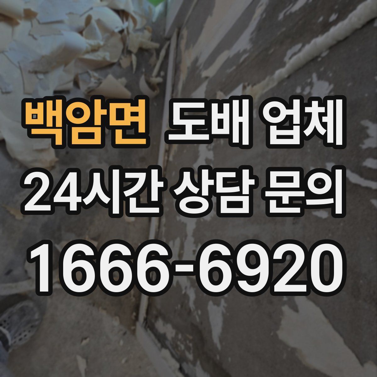 백암면 도배 업체