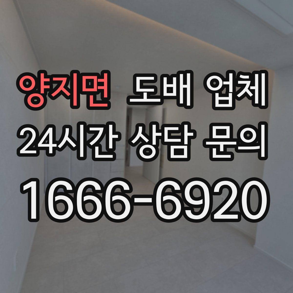 양지면 도배 업체