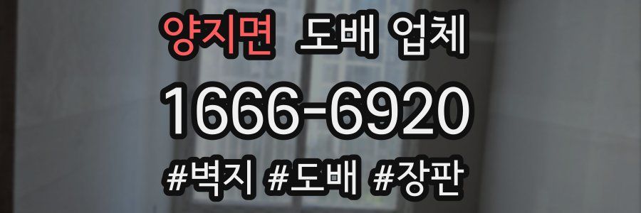 양지면 도배 업체