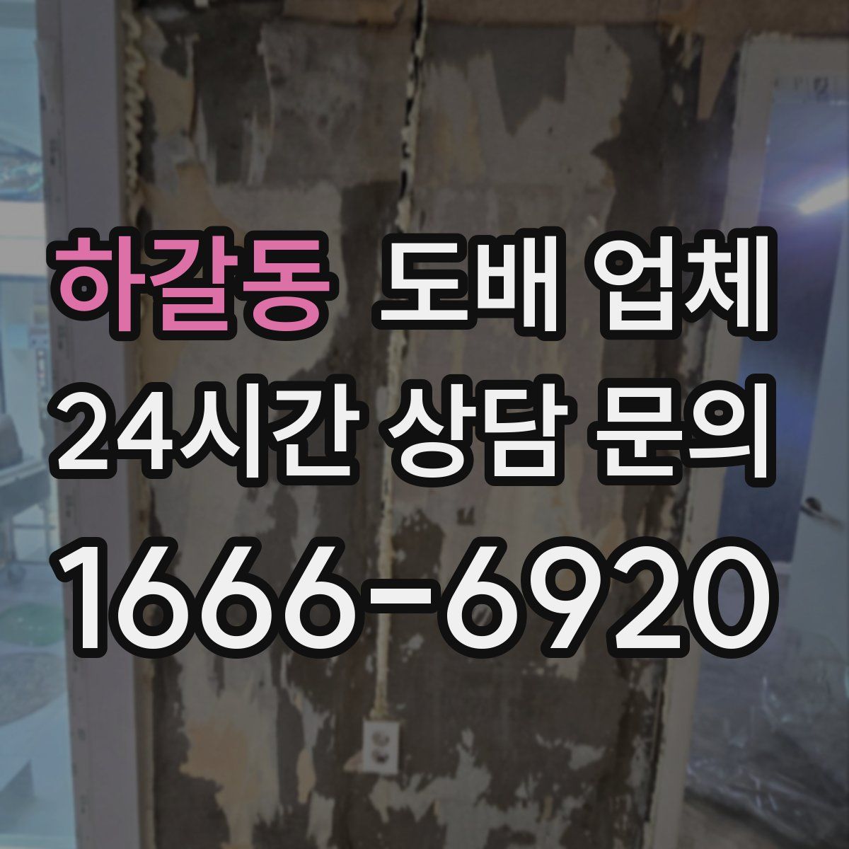 하갈동 도배 업체