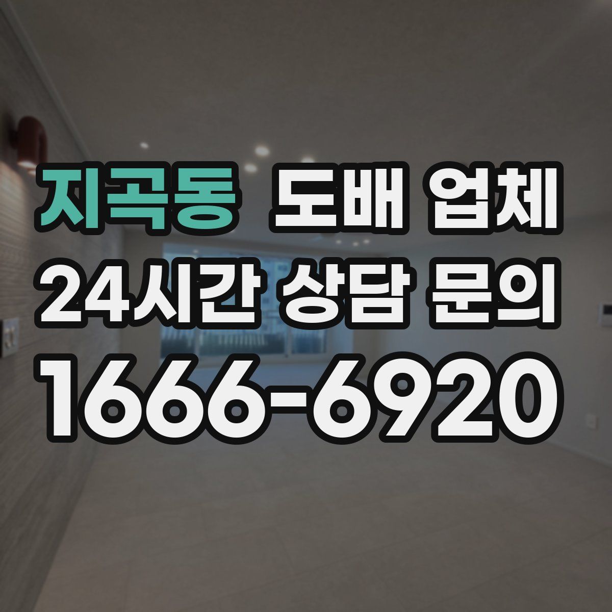 지곡동 도배 업체