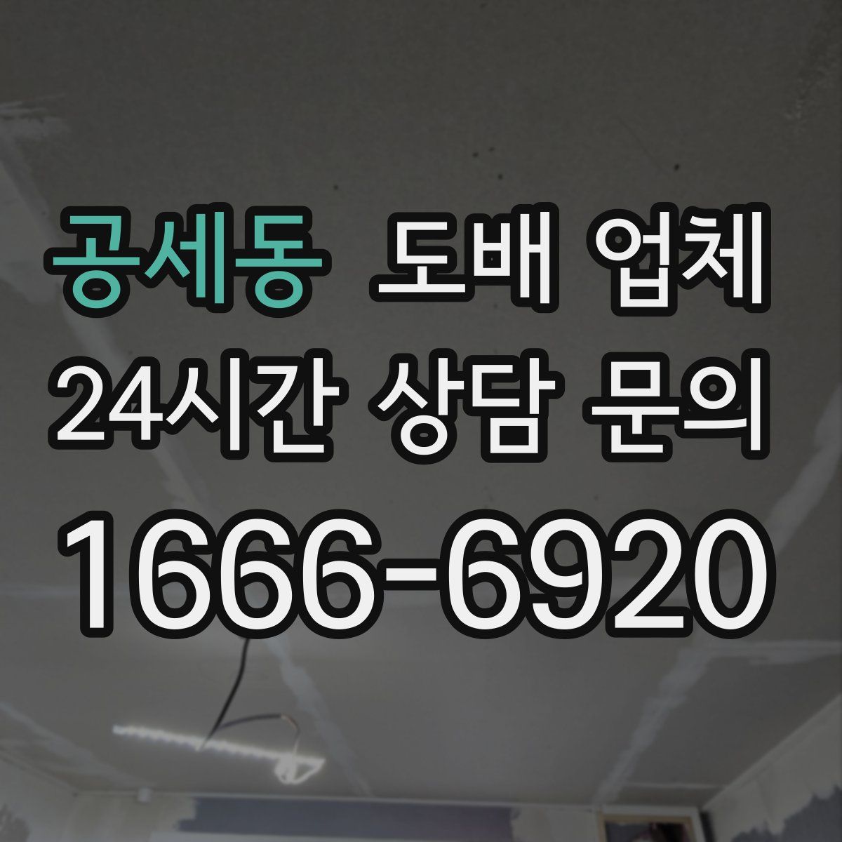 공세동 도배 업체