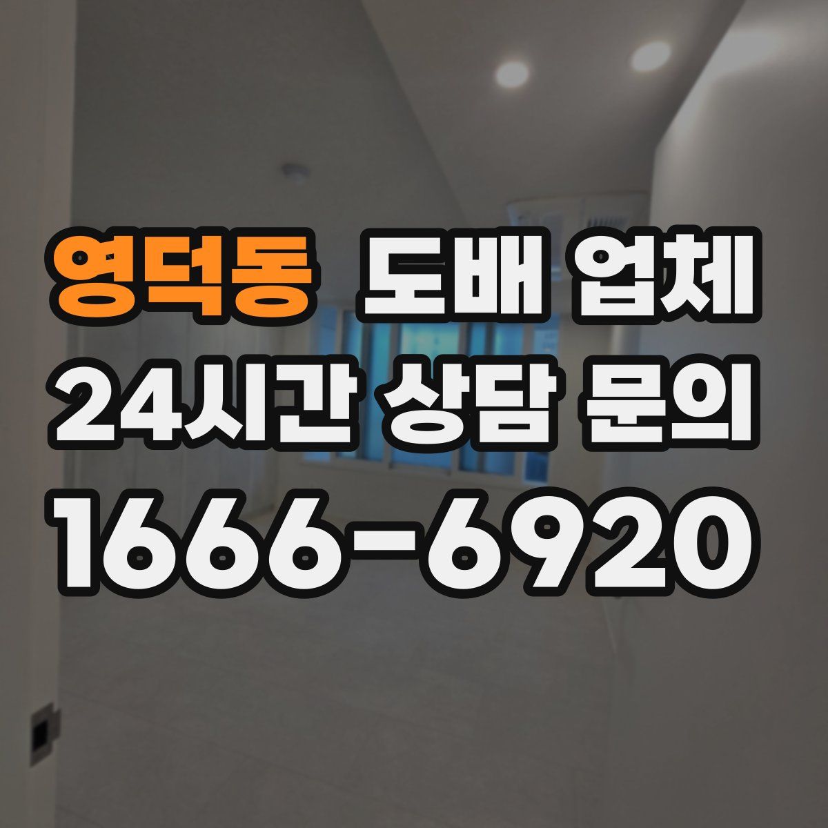 영덕동 도배 업체