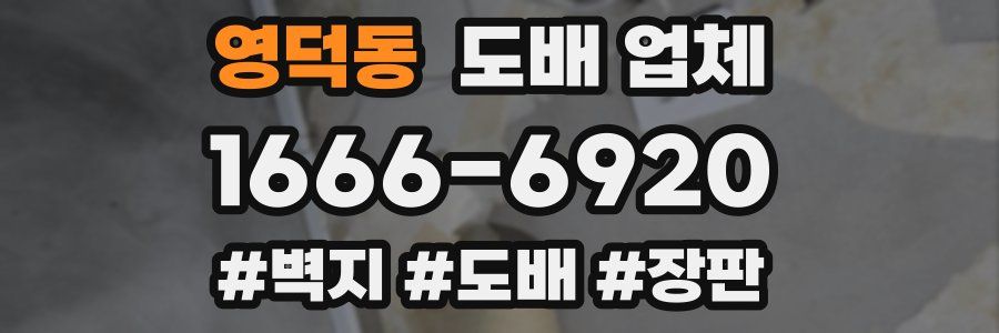 영덕동 도배 업체