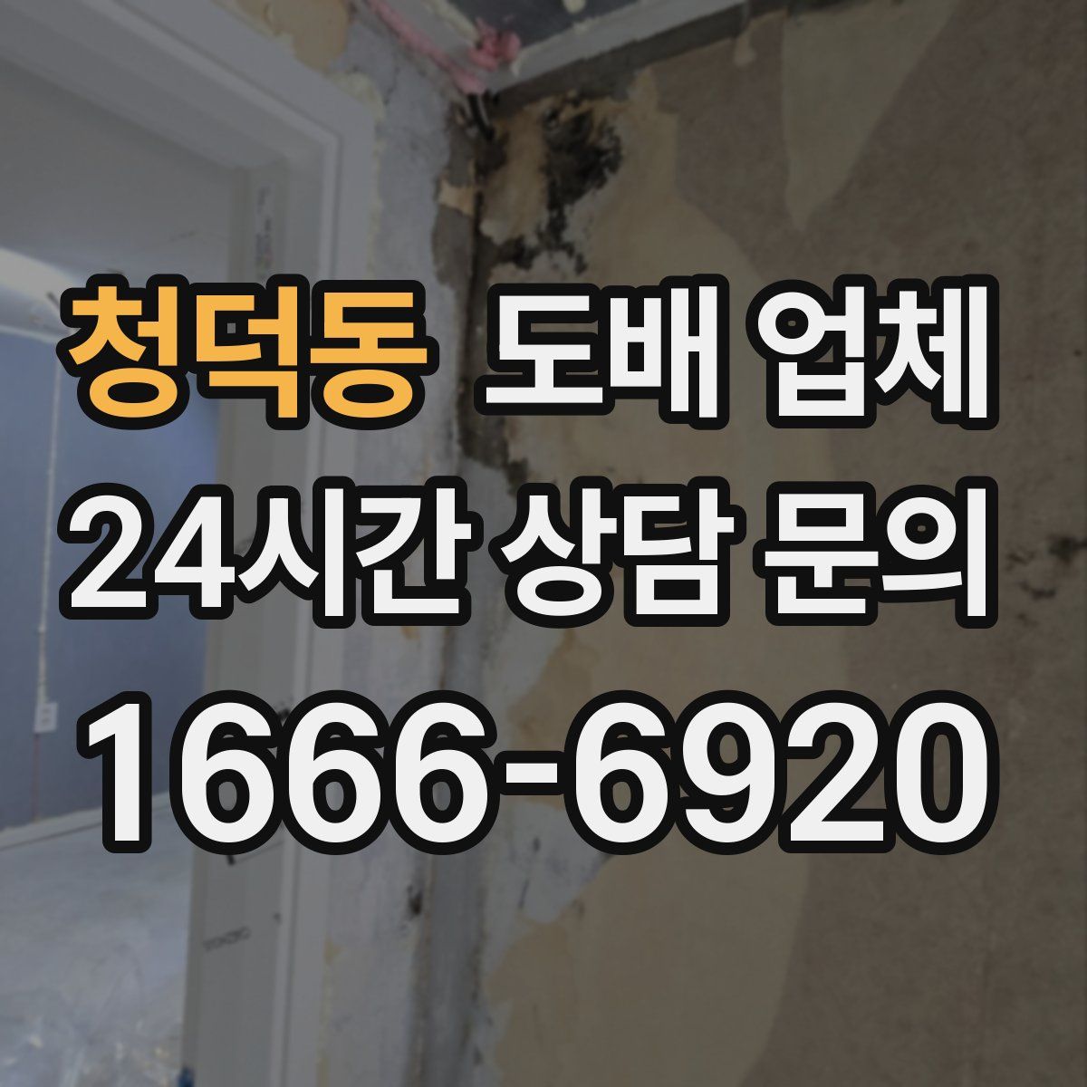 청덕동 도배 업체