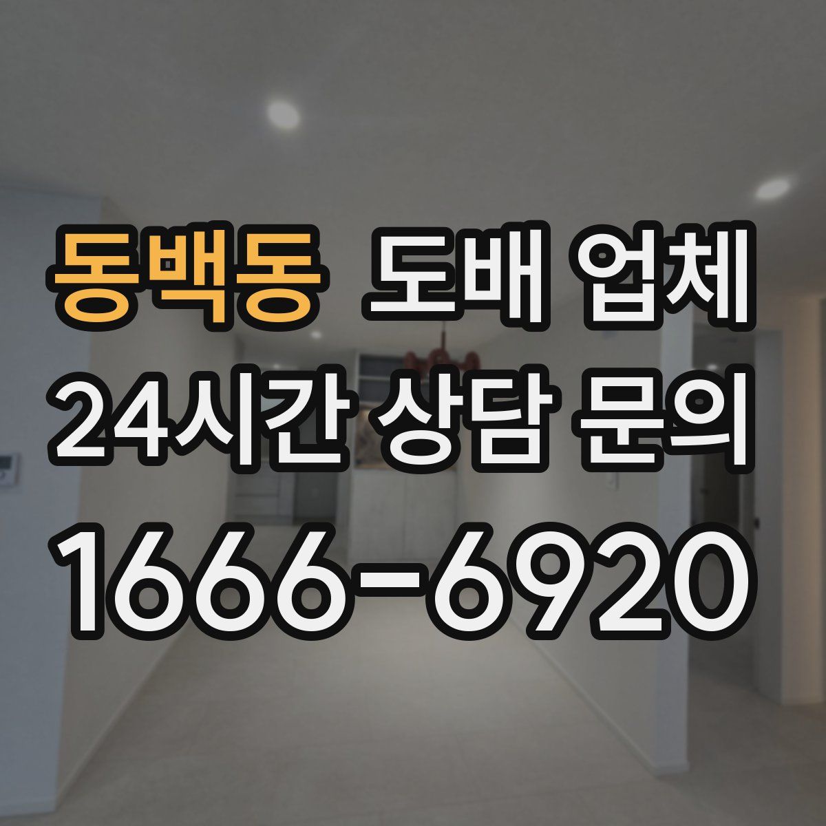 동백동 도배 업체