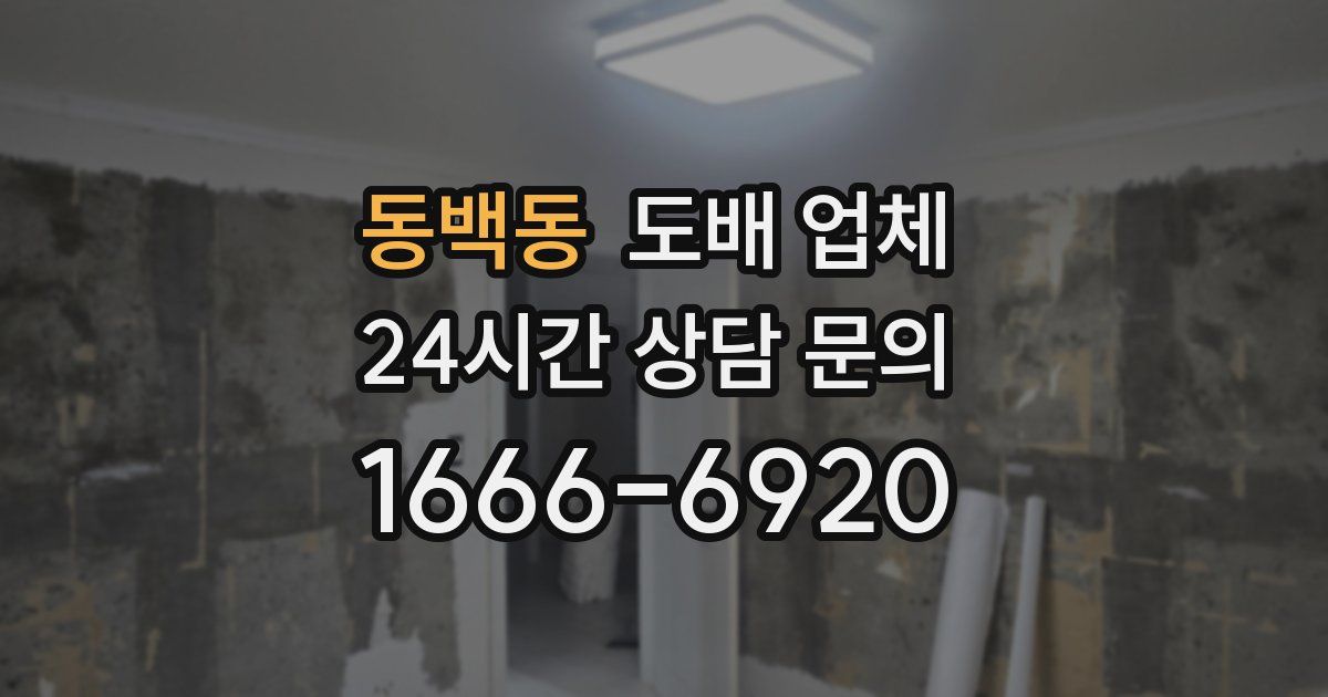 동백동 도배 업체