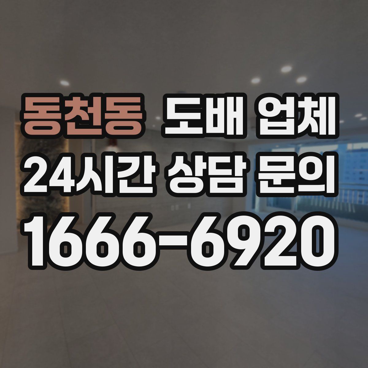 동천동 도배 업체