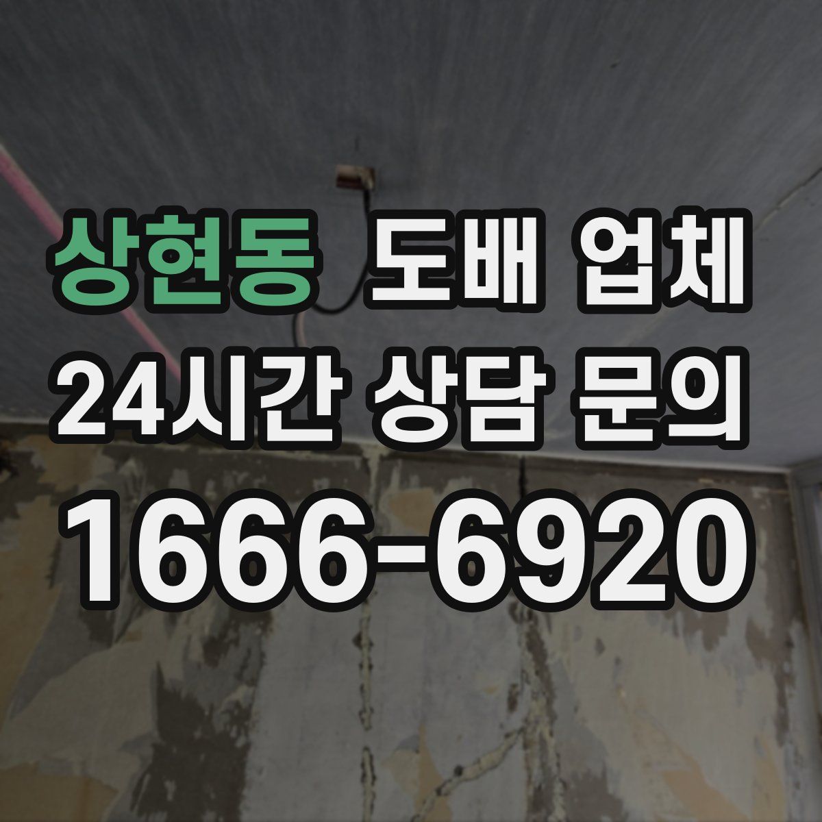 상현동 도배 업체