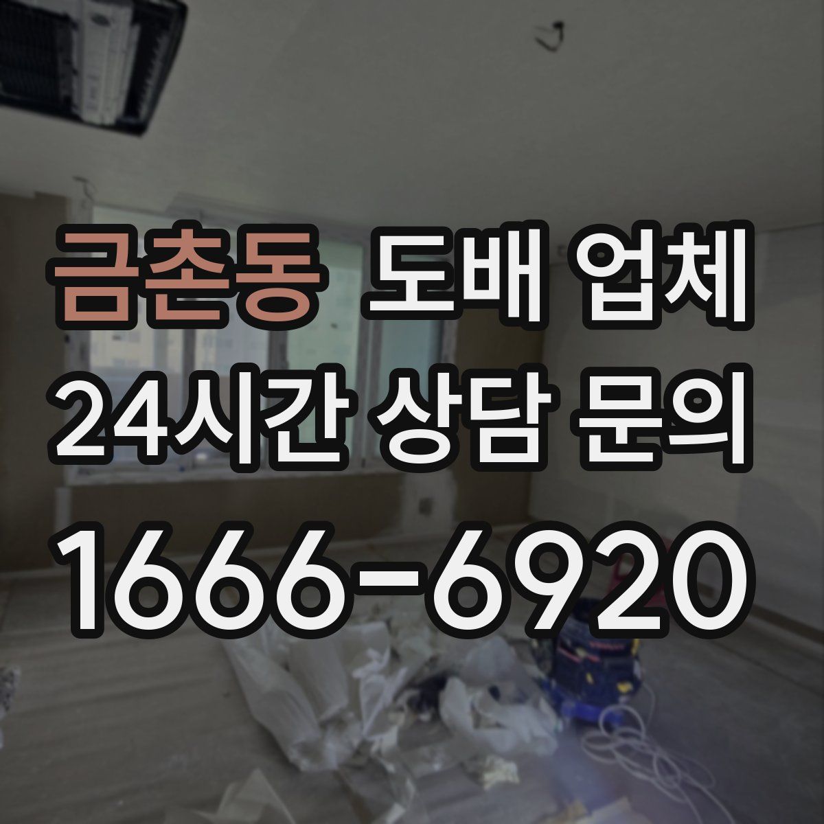 금촌동 도배 업체
