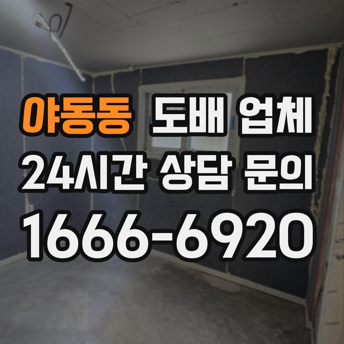 야동동 도배 업체