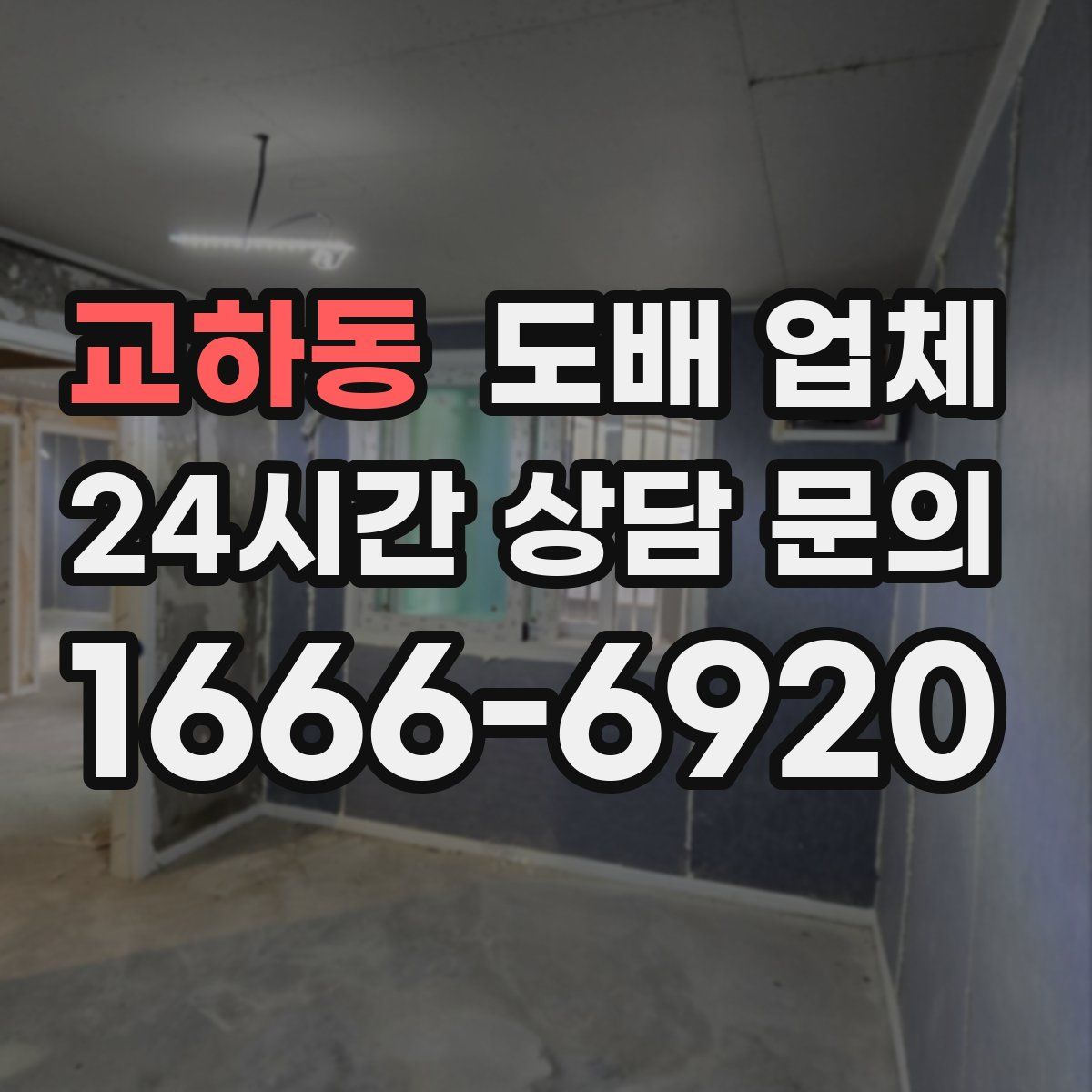 교하동 도배 업체