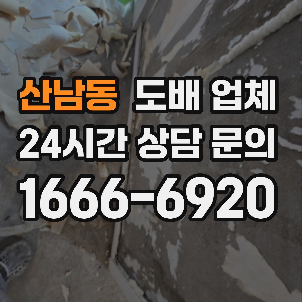 산남동 도배 업체