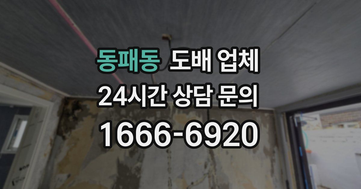 동패동 도배 업체