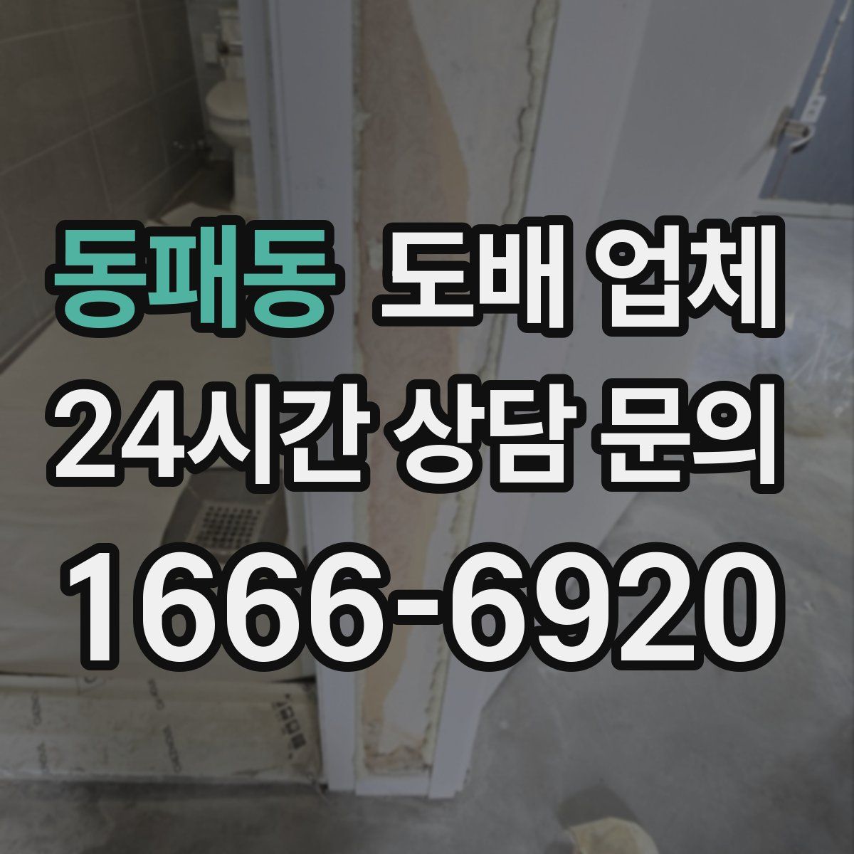 동패동 도배 업체
