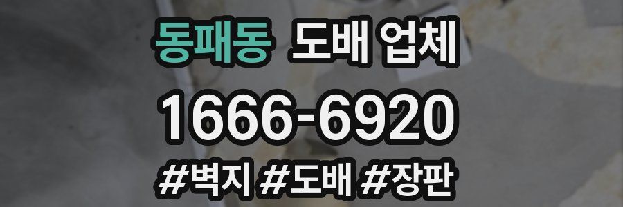 동패동 도배 업체