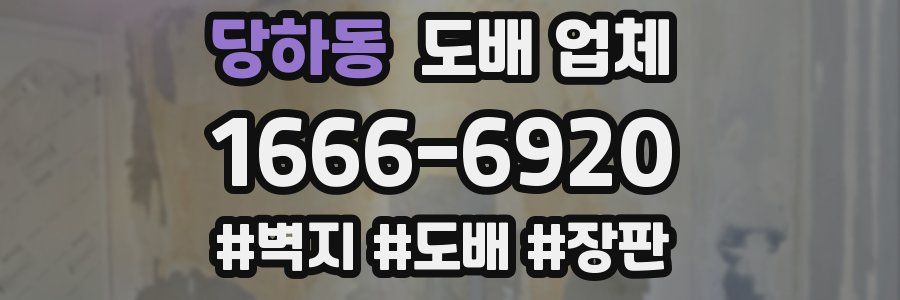 당하동 도배 업체