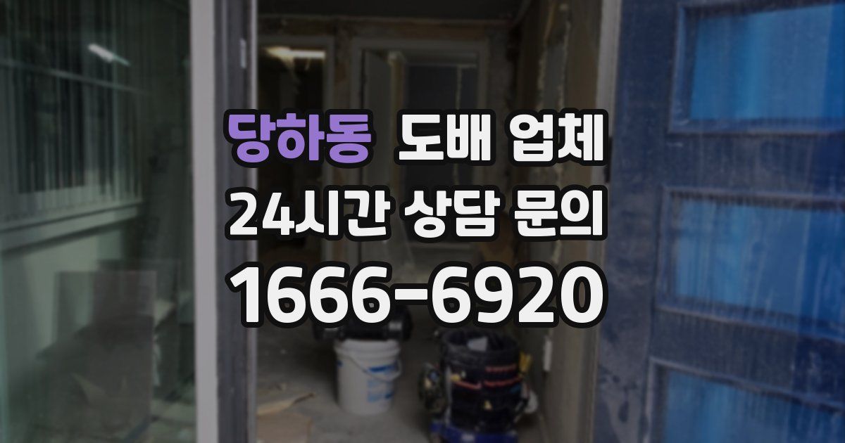 당하동 도배 업체