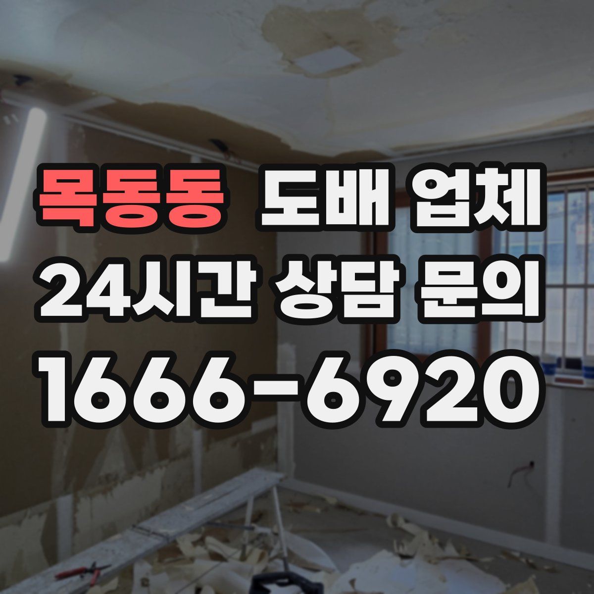 목동동 도배 업체