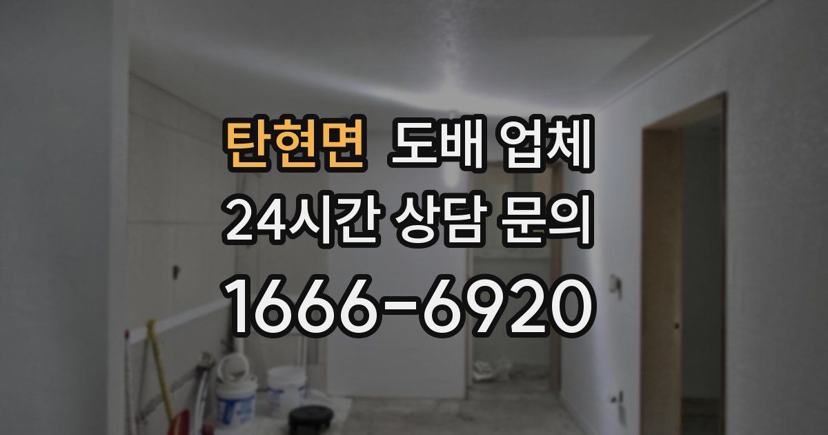 탄현면 도배 업체