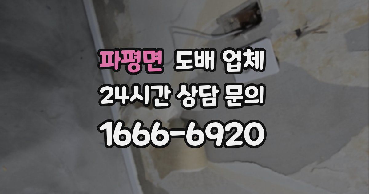 파평면 도배 업체
