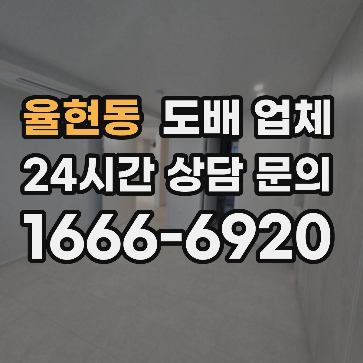 율현동 도배 업체