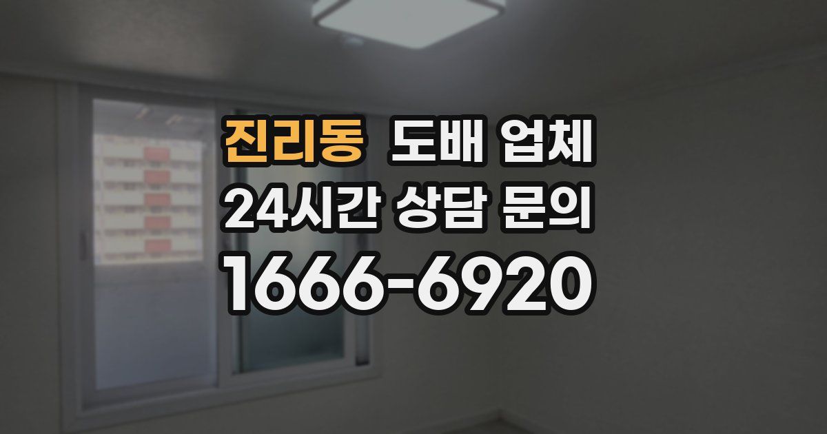 진리동 도배 업체