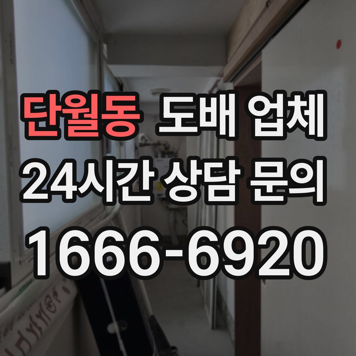 단월동 도배 업체