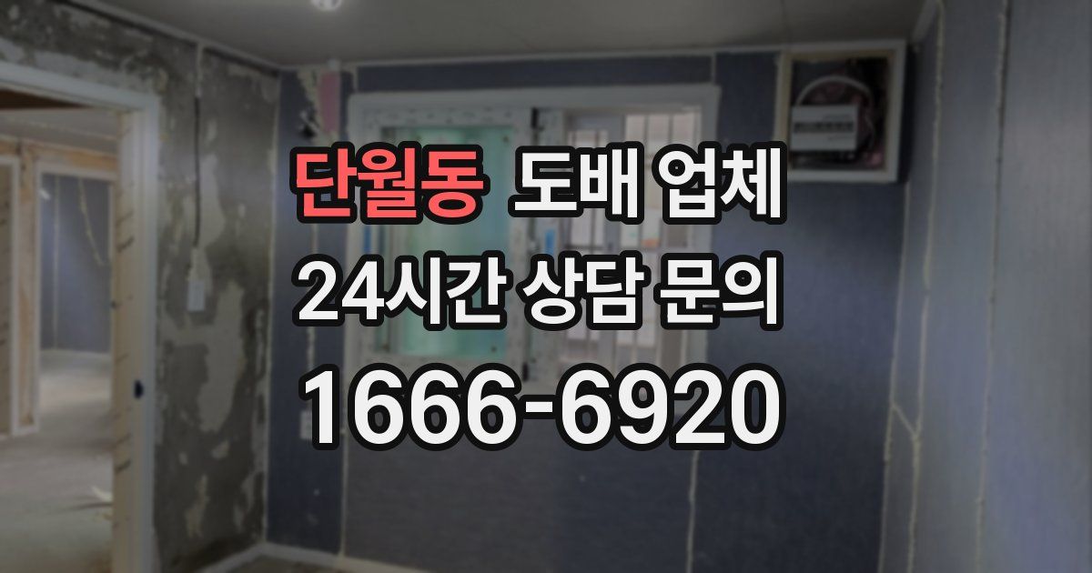 단월동 도배 업체
