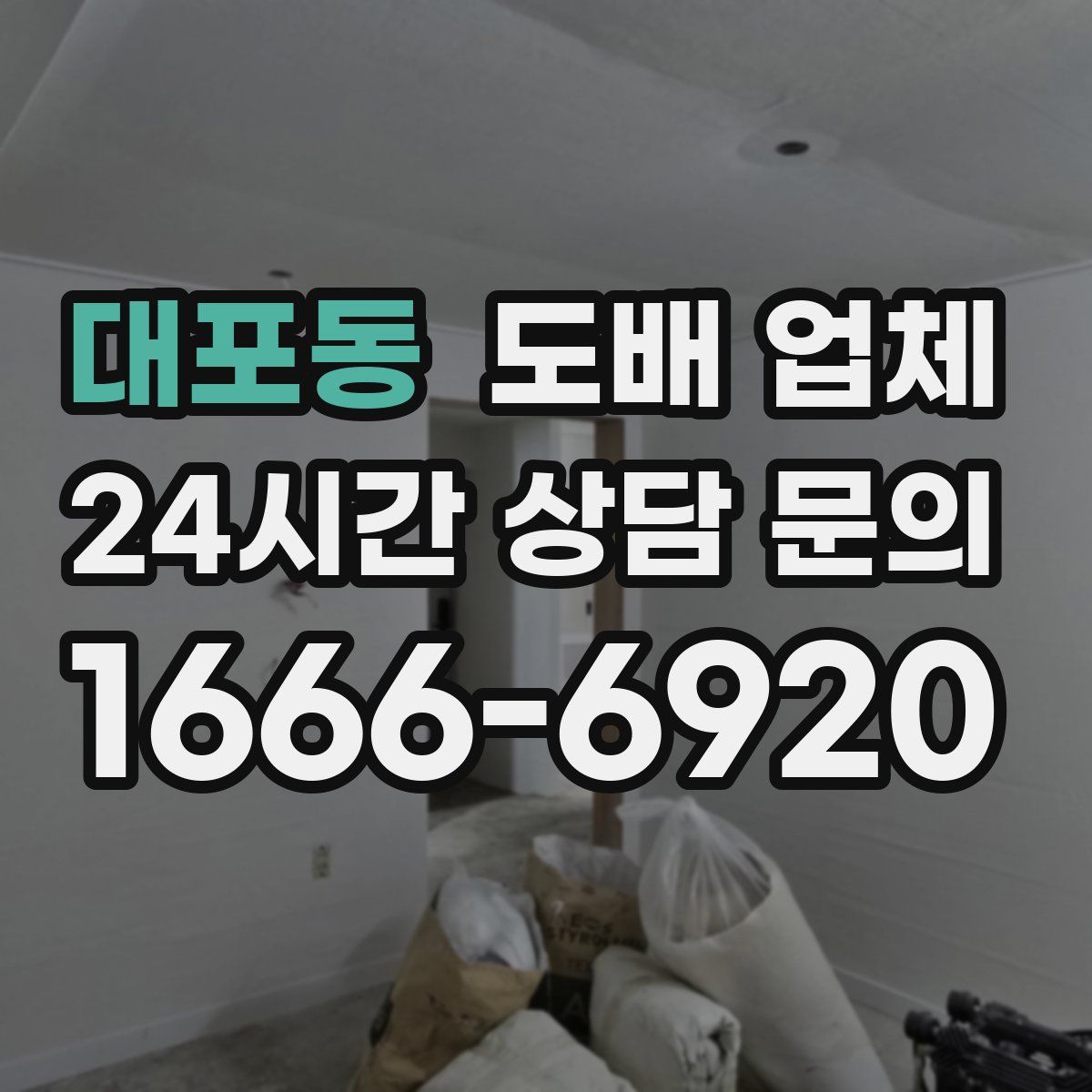 대포동 도배 업체