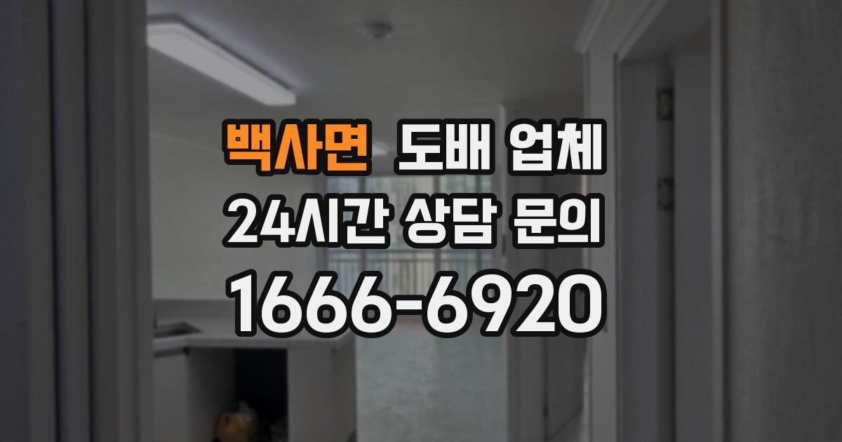 백사면 도배 업체