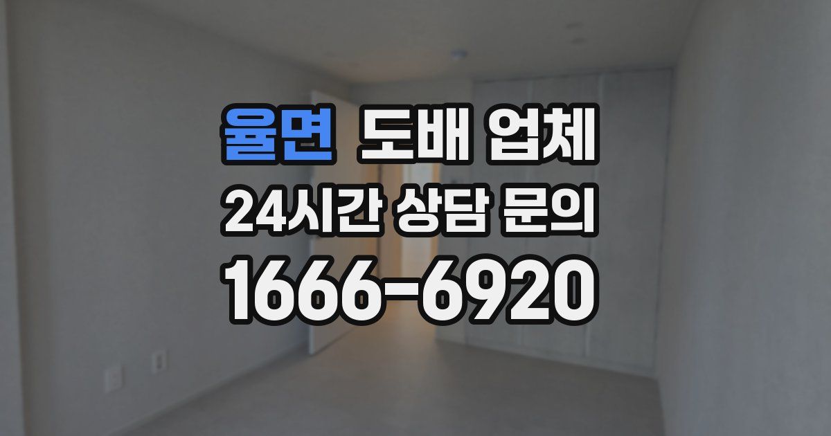 율면 도배 업체