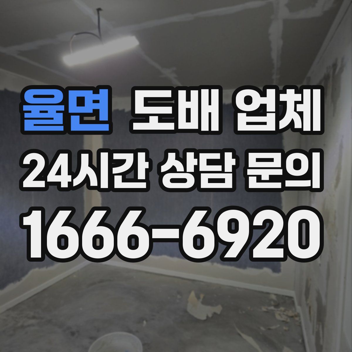율면 도배 업체