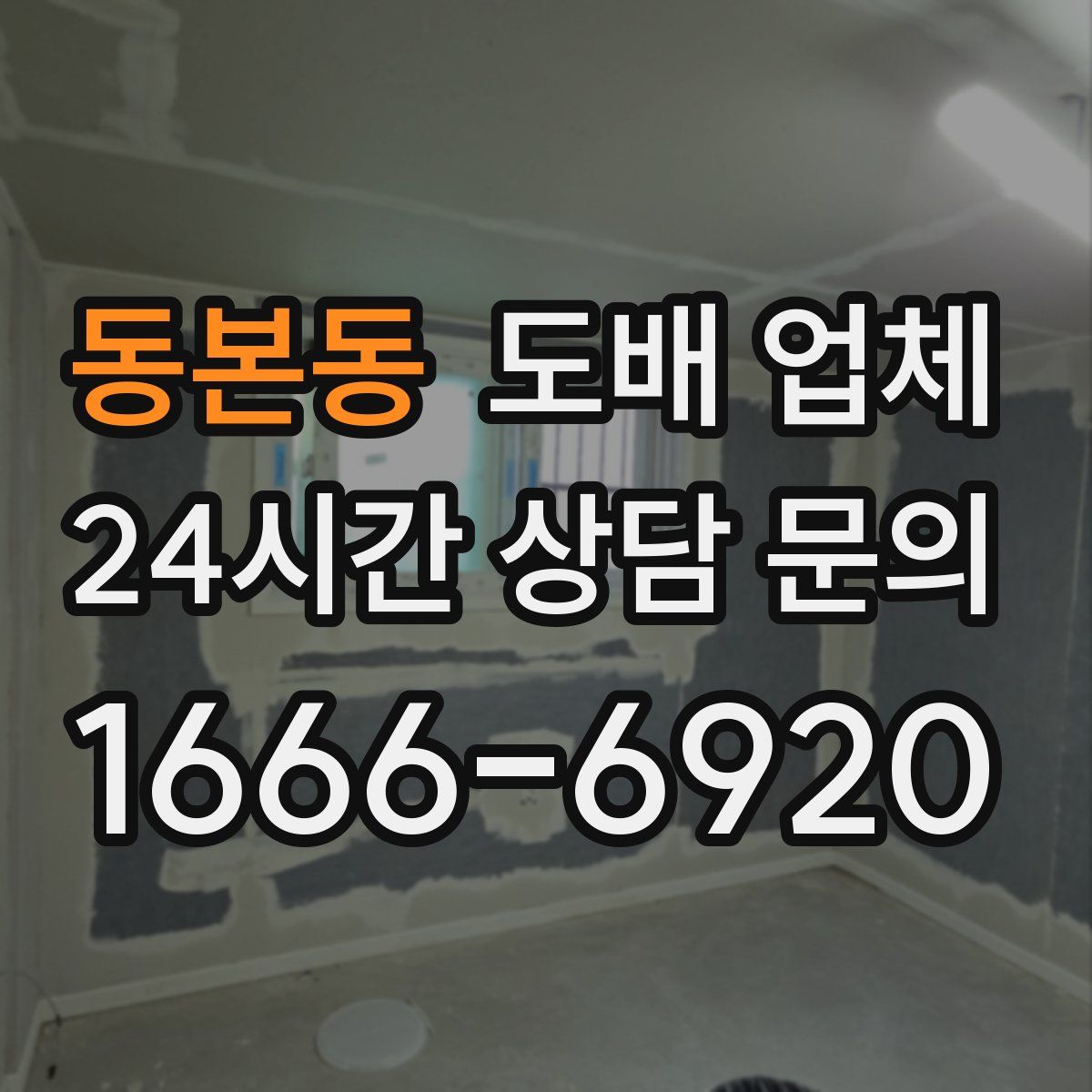 동본동 도배 업체