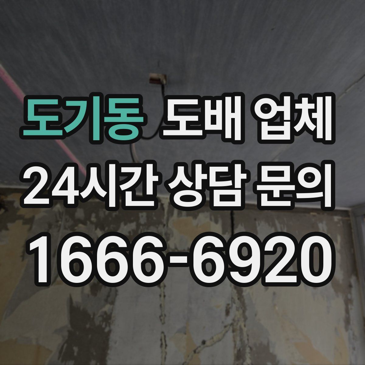 도기동 도배 업체