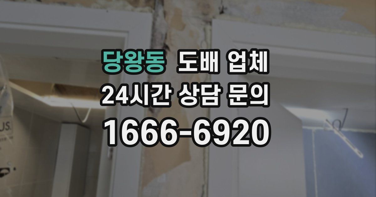 당왕동 도배 업체