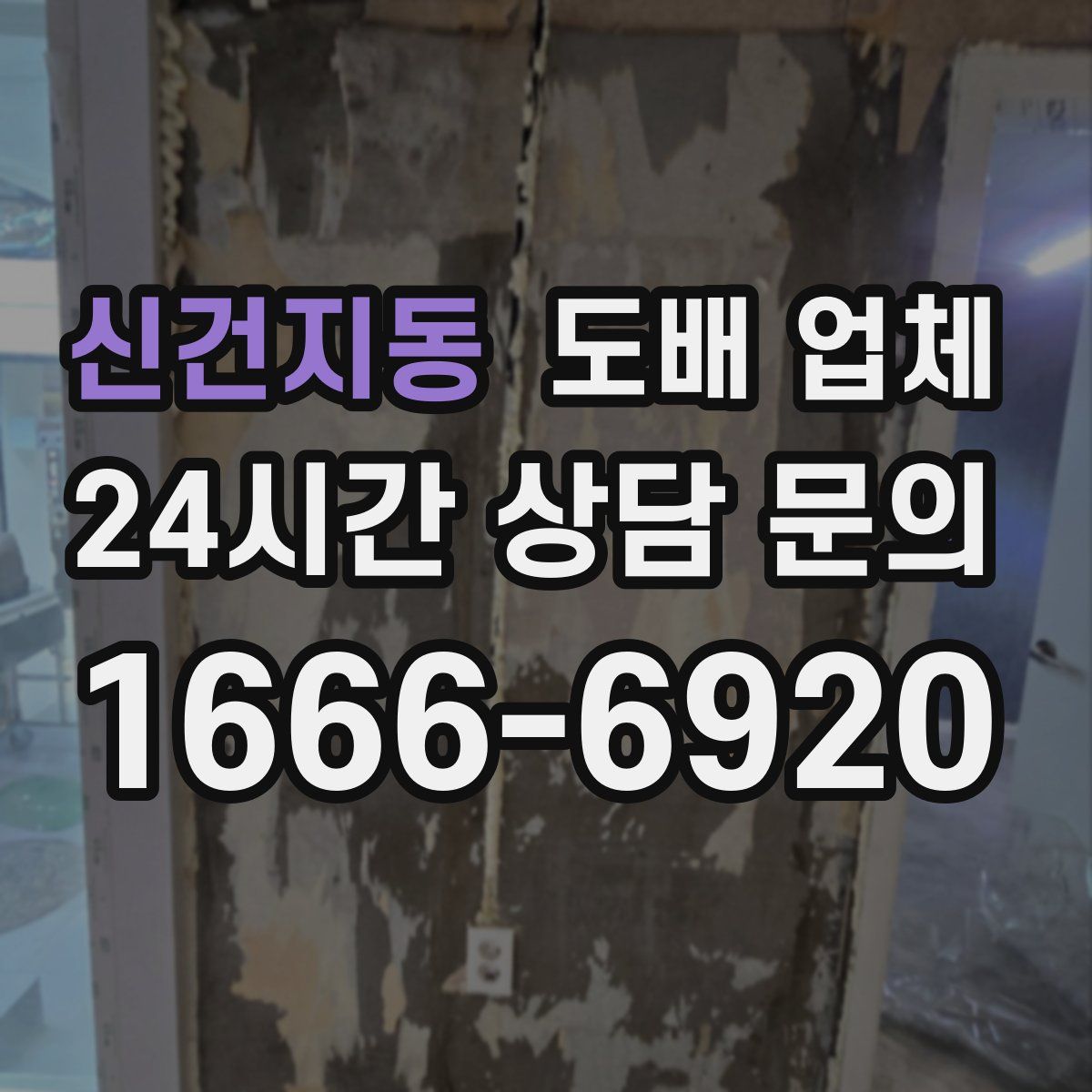 신건지동 도배 업체
