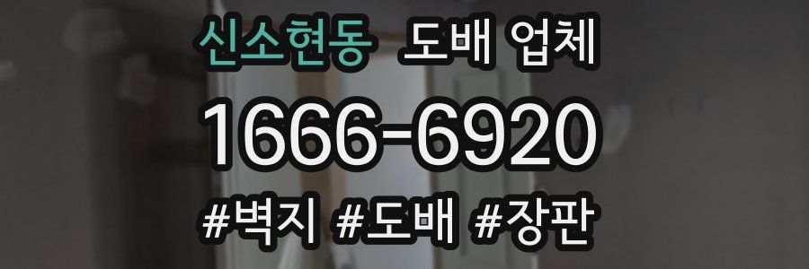 신소현동 도배 업체