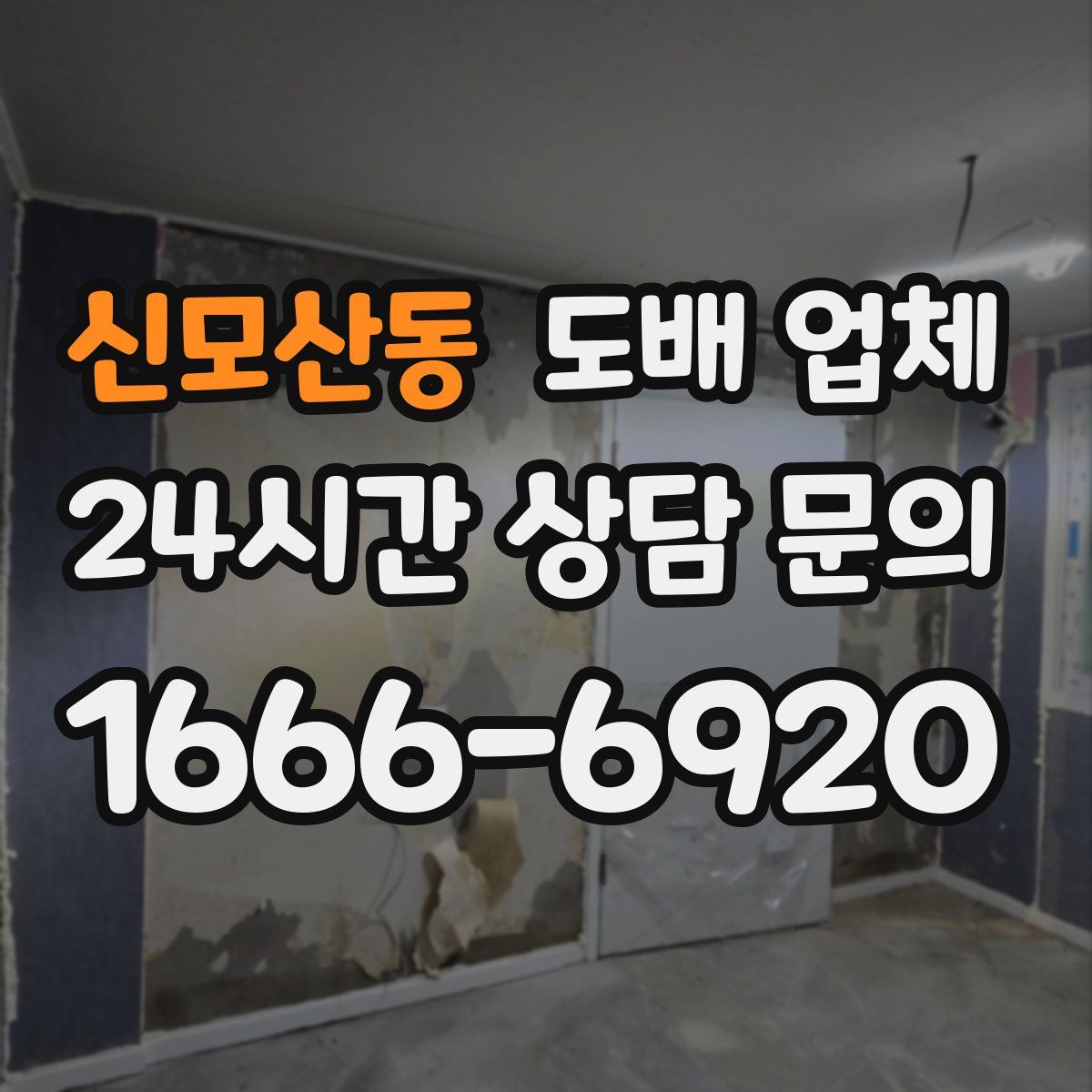 신모산동 도배 업체