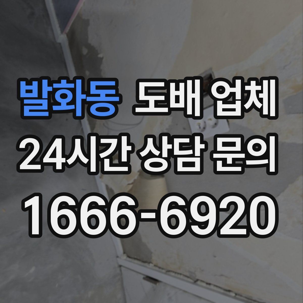 발화동 도배 업체 선택 전에 비교해볼 서비스 범위