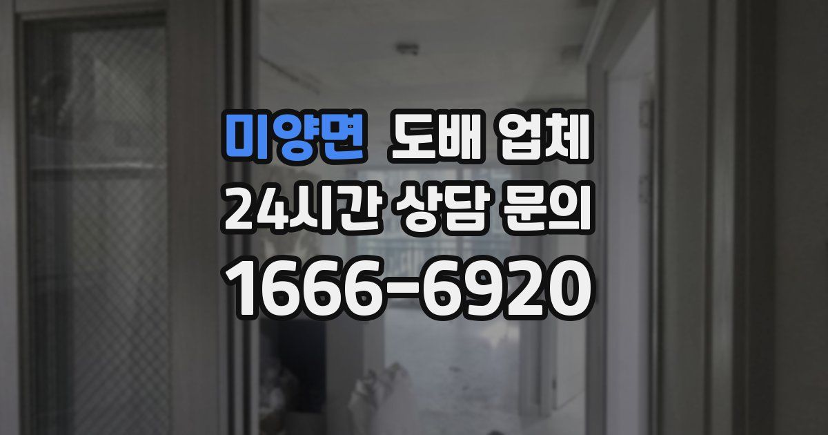 미양면 도배 업체