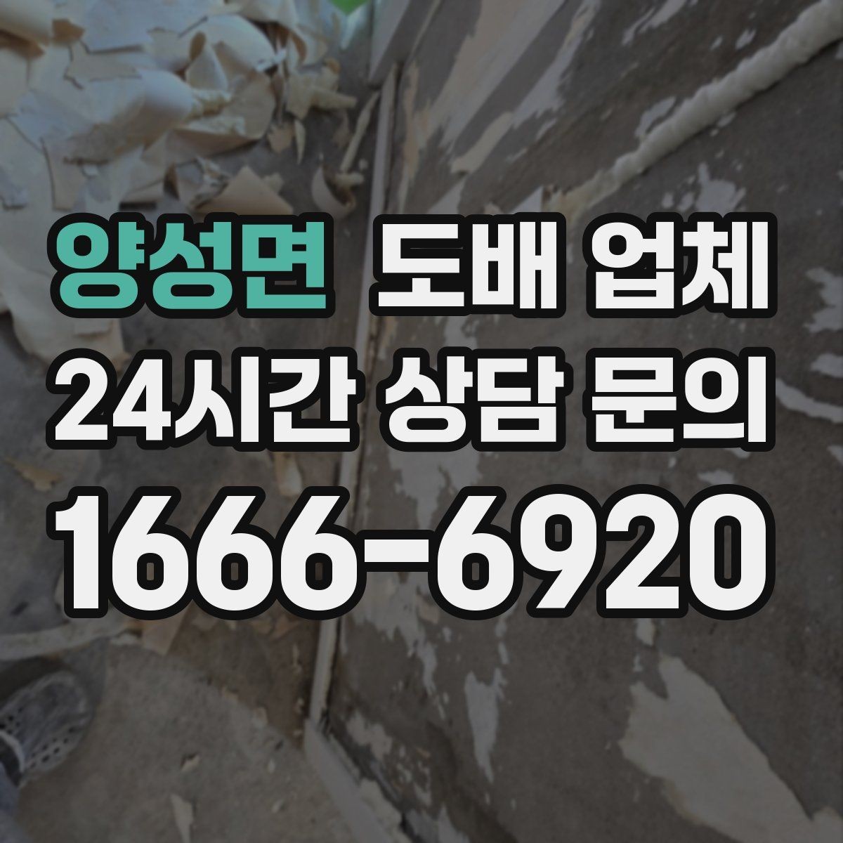 양성면 도배 업체 공사 기간은 어떻게 정해질까